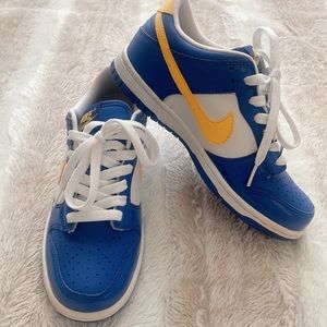 Nike Dunk Low (GS) 2008 “vintage” kids 4.5/women’s 6